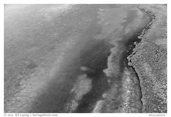 Aerial view of reef, shoal, coastline, and forest. Biscayne National Park (black and white)