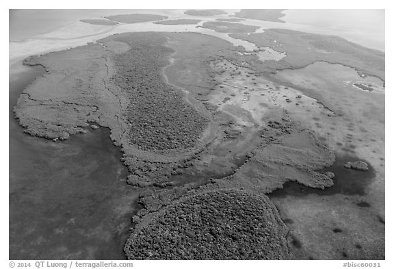 Aerial view of Totten Key and Jones Lagoon. Biscayne National Park (black and white)
