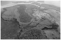 Aerial view of Totten Key and Jones Lagoon. Biscayne National Park ( black and white)