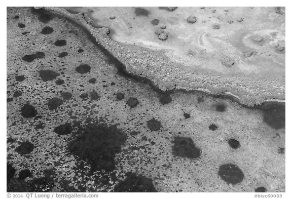 Aerial view of seagrass in Jones Lagoon. Biscayne National Park (black and white)