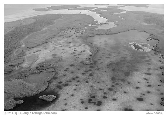 Aerial view of Jones Lagoon. Biscayne National Park (black and white)