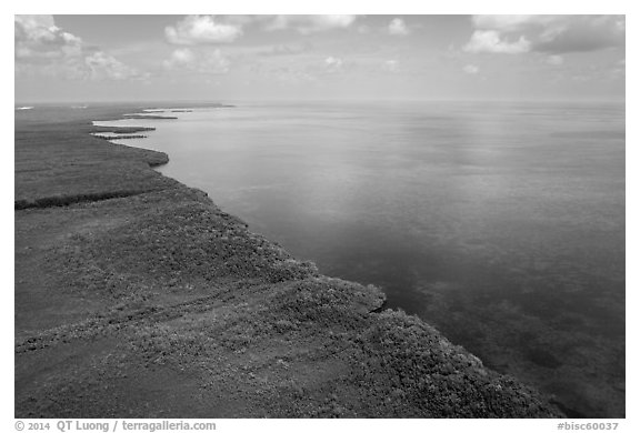 Aerial view of mainland mangrove coast. Biscayne National Park (black and white)