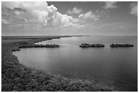 Aerial view of mainland coast near Convoy Point. Biscayne National Park ( black and white)