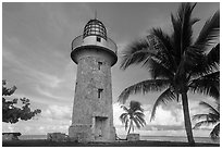 Palm tree and lighthouse, Boca Chita Key. Biscayne National Park ( black and white)