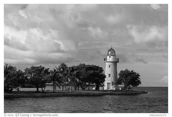 Trees and lighthouse, Boca Chita Key. Biscayne National Park (black and white)