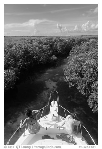 Passengers on front of boat navigating narrow channel. Biscayne National Park (black and white)