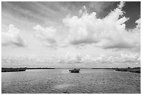 Channel with mangrove islet. Biscayne National Park ( black and white)