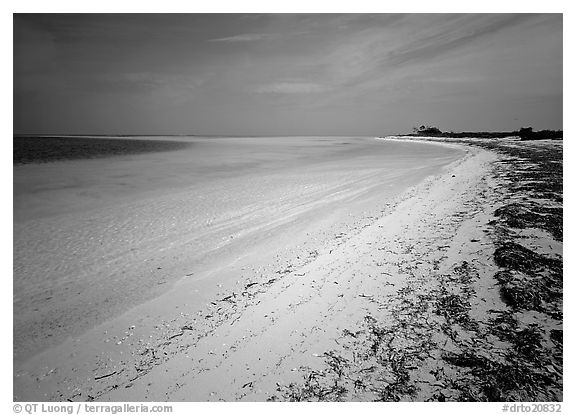 Beach and turquoise waters, Bush Key. Dry Tortugas  National Park (black and white)