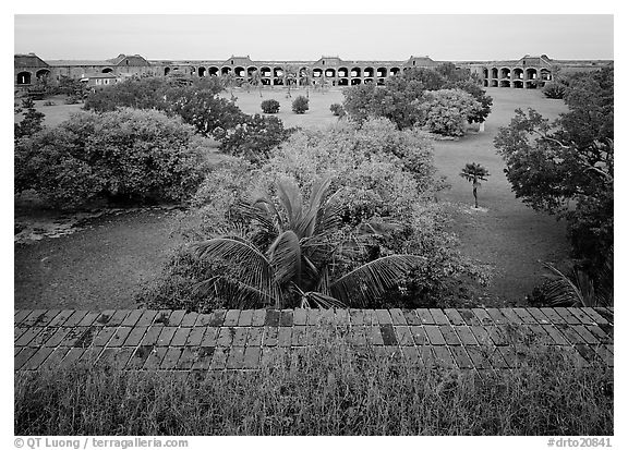 Courtyard of Fort Jefferson with lawn and trees. Dry Tortugas National Park (black and white)