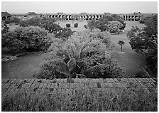 Courtyard of Fort Jefferson with lawn and trees. Dry Tortugas National Park, Florida, USA. (black and white)