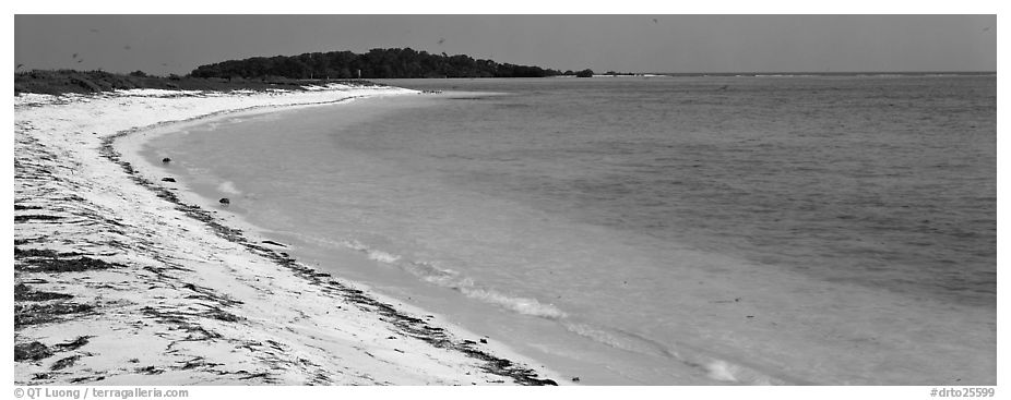 Sandy beach and turquoise waters. Dry Tortugas National Park (black and white)