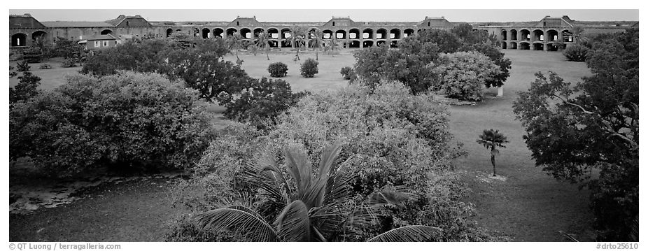 Grassy courtyard of Fort Jefferson. Dry Tortugas National Park (black and white)