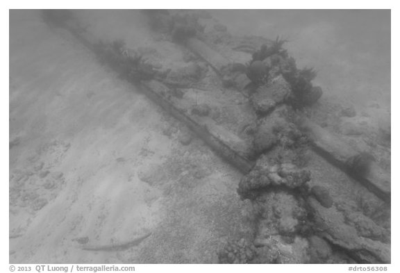 Part of Windjammer wreck on ocean floor. Dry Tortugas National Park (black and white)