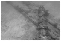 Part of Windjammer wreck on ocean floor. Dry Tortugas National Park ( black and white)