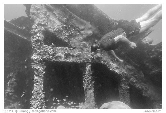 Free diver exploring Windjammer Wreck. Dry Tortugas National Park (black and white)
