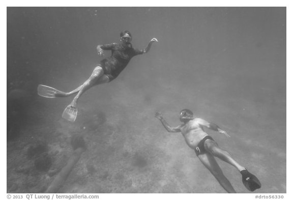 Couple free diving. Dry Tortugas National Park (black and white)