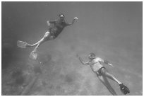 Couple free diving. Dry Tortugas National Park ( black and white)