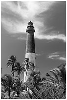 Palm trees and Dry Tortugas Light Station, Loggerhead Key. Dry Tortugas National Park ( black and white)