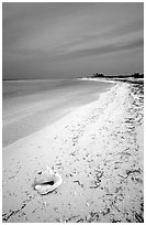 Conch shell and sandy beach on Bush Key. Dry Tortugas National Park, Florida, USA. (black and white)