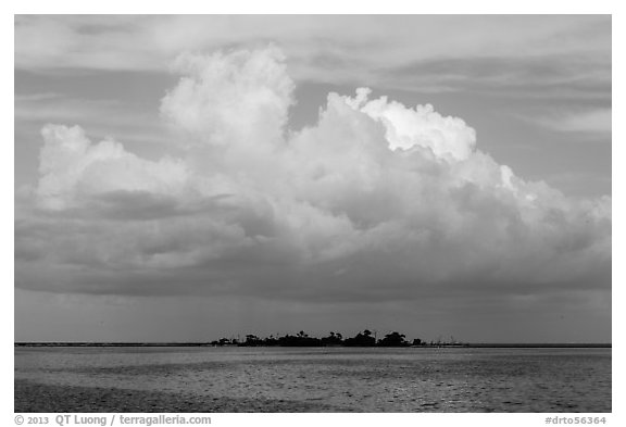 Vegetation-covered Long Key below tropical cloud. Dry Tortugas National Park (black and white)
