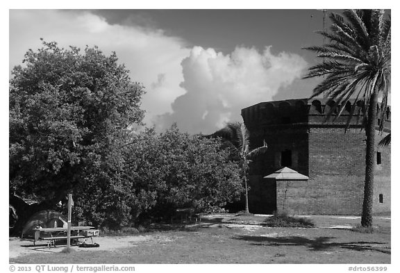 Camping. Dry Tortugas National Park (black and white)
