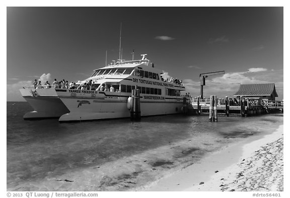 Yankee Freedom Ferry. Dry Tortugas National Park (black and white)