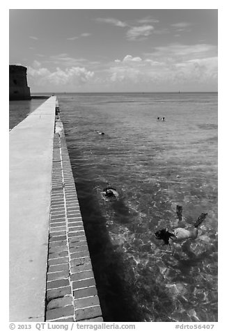 Snorkelers next to Fort Jefferson seawall. Dry Tortugas National Park (black and white)