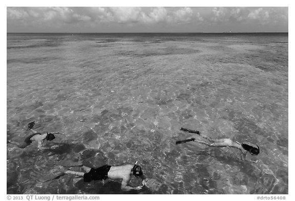Snorkelers and reef, Garden Key. Dry Tortugas National Park (black and white)