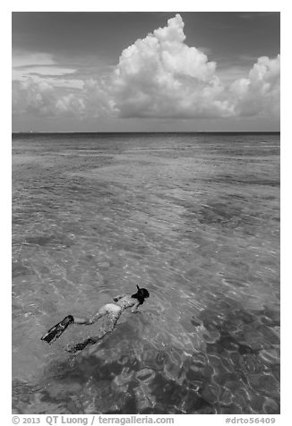 Woman snorkeling. Dry Tortugas National Park (black and white)