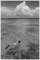 Woman snorkeling. Dry Tortugas National Park, Florida, USA. (black and white)