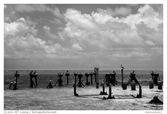 South coaling dock ruins and seabirds, Garden Key. Dry Tortugas National Park (black and white)