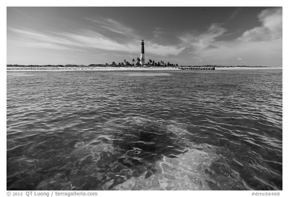 Coral head and Loggerhead Key light. Dry Tortugas National Park (black and white)