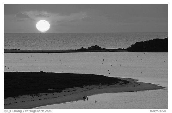 Sunrise over Long Key and Atlantic Ocean. Dry Tortugas National Park (black and white)