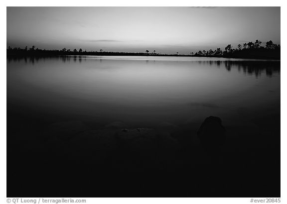 Pine Glades Lake, dusk. Everglades  National Park (black and white)