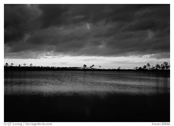 Sunset with dark clouds,  Pine Glades Lake. Everglades National Park (black and white)