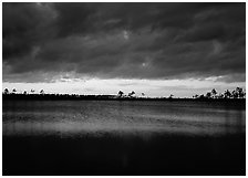 Sunset with dark clouds,  Pine Glades Lake. Everglades National Park, Florida, USA. (black and white)