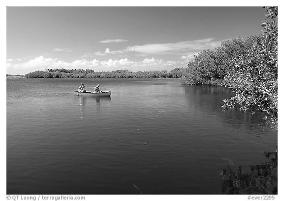 Canoists fishing. Everglades National Park (black and white)