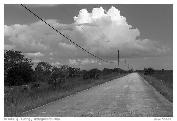Road and cloud, Chekika. Everglades National Park, Florida, USA.