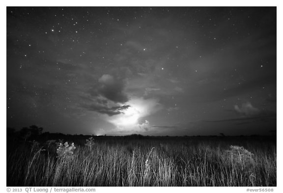 Sawgrass prairie with cloud lit by lightening. Everglades National Park (black and white)