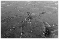 Aerial view of freshwater marl prairie. Everglades National Park, Florida, USA. (black and white)