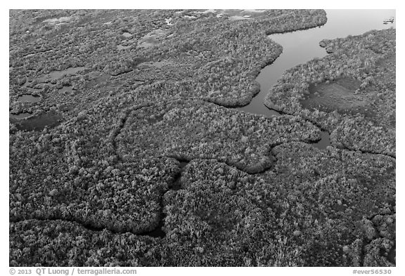 Aerial view of river and lake with chickees. Everglades National Park (black and white)