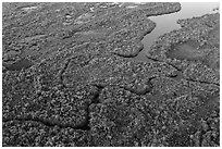 Aerial view of river and lake with chickees. Everglades National Park, Florida, USA. (black and white)