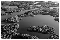 Aerial view of maze of waterways and mangrove islands. Everglades National Park, Florida, USA. (black and white)