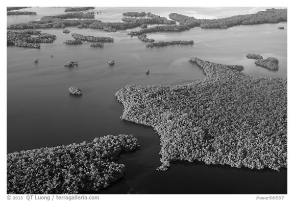 Aerial view of coastal mangrove islands. Everglades National Park (black and white)