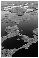 Aerial view of mosaic of lakes and and vegetation. Everglades National Park, Florida, USA. (black and white)