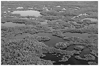 Aerial view of lakes, mangroves and cypress. Everglades National Park, Florida, USA. (black and white)