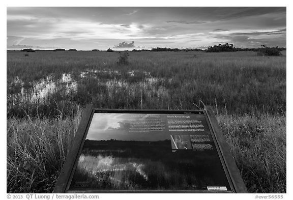 Interpretive sign, Shark River Slough. Everglades National Park (black and white)