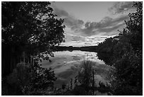 Paurotis Pond at sunset. Everglades National Park, Florida, USA. (black and white)