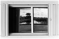 Slough, Royal Palms Visitor Center window reflexion. Everglades National Park, Florida, USA. (black and white)