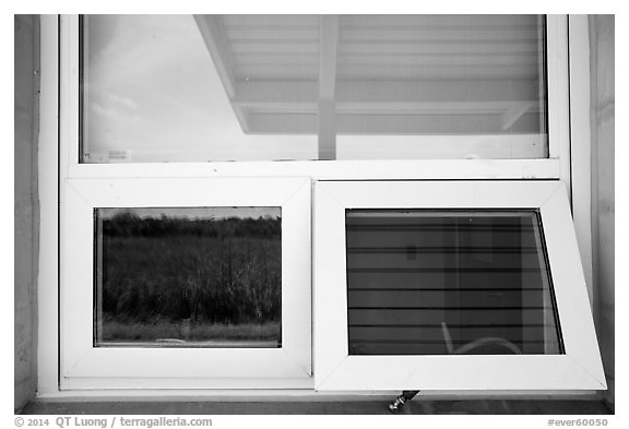 Prairie and hammock, Shark Valley visitor center window reflexion. Everglades National Park (black and white)